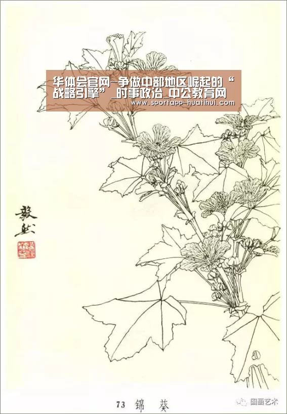 华体会官方