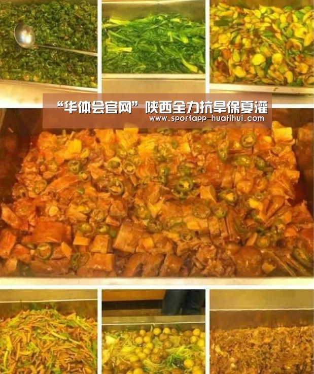 “华体会官网”陕西全力抗旱保夏灌(图1) 华体会登录