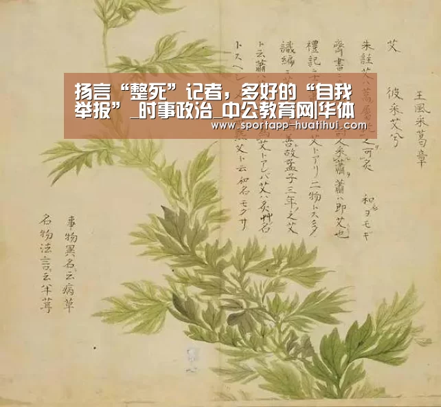 扬言“整死”记者,多好的“自我举报”_时事政治_中公教育网|华体会官方(图1) 华体会登录