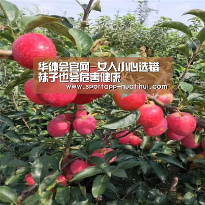 华体会官网-女人小心选错袜子也会危害健康(图4) 华体会官方
