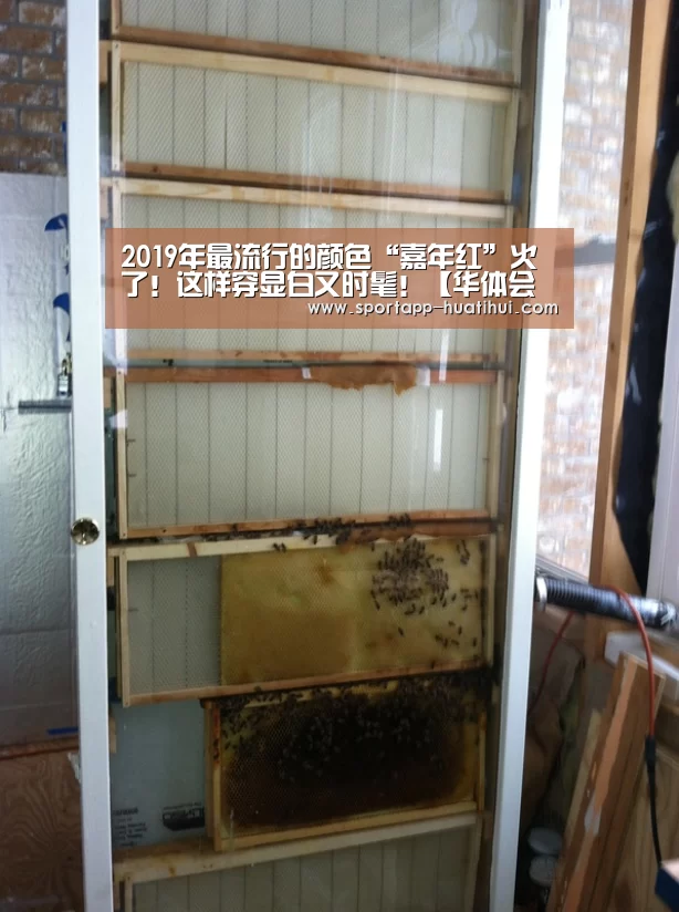 2019年最流行的颜色“嘉年红”火了!这样穿显白又时髦!【华体会官网】(图2) 华体会官方